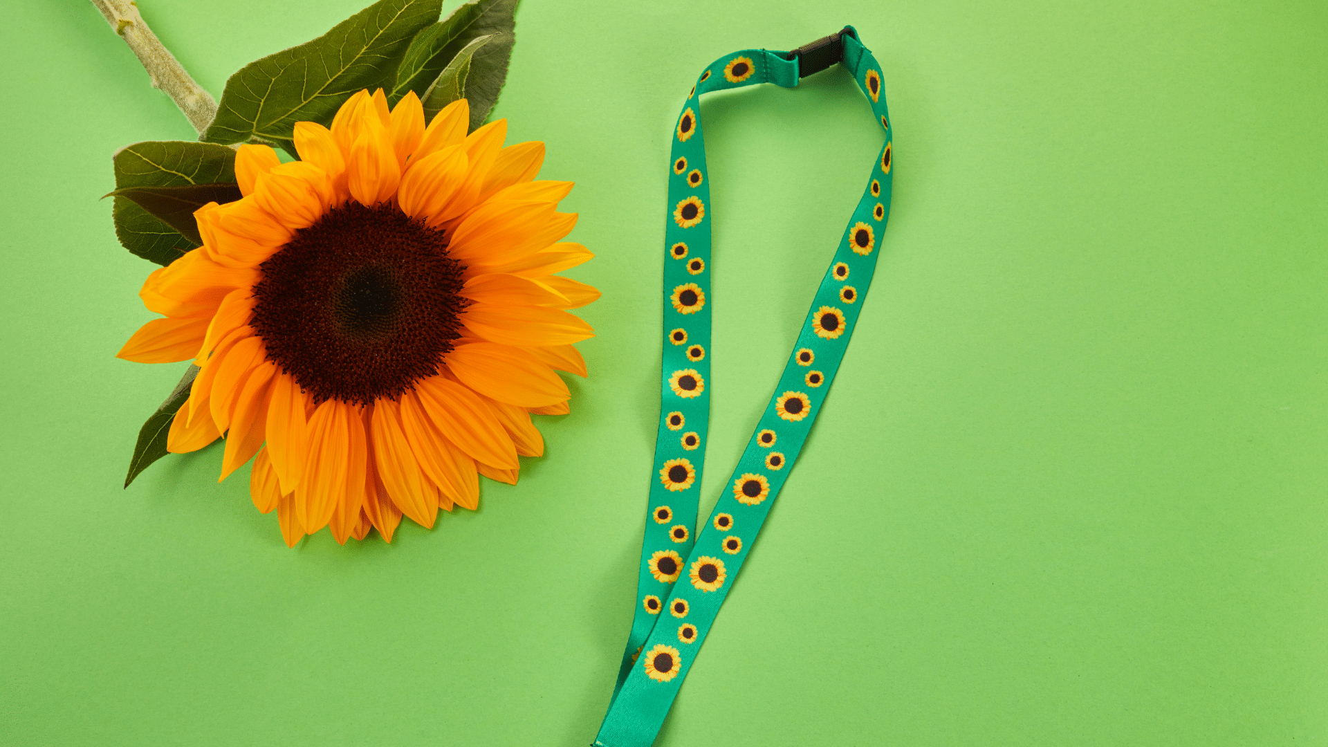 hidden disabilities sunflower lanyard on green background.